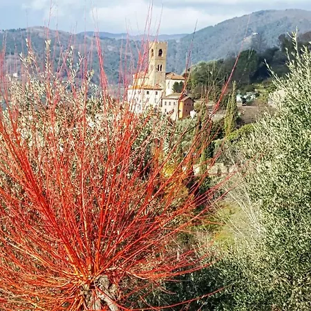 Nel | Civico 2 Uzzano